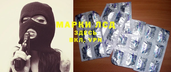 spice Аркадак