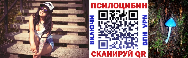 Псилоцибиновые грибы Psilocybe  Купить  Приволжск 